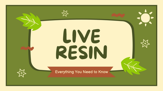 Live Resin: Everything You Need to Know