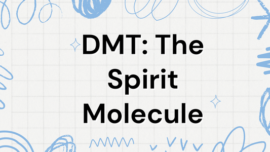 DMT: The Spirit Molecule