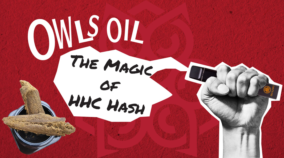 Experience the Magic of HHC Hash: Top Reasons to Choose Owl's Oil!