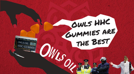 Why Owls Oil HHC Gummies are the Best Kept Secret in Cannabis